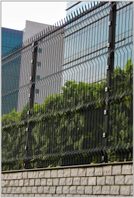 data-image